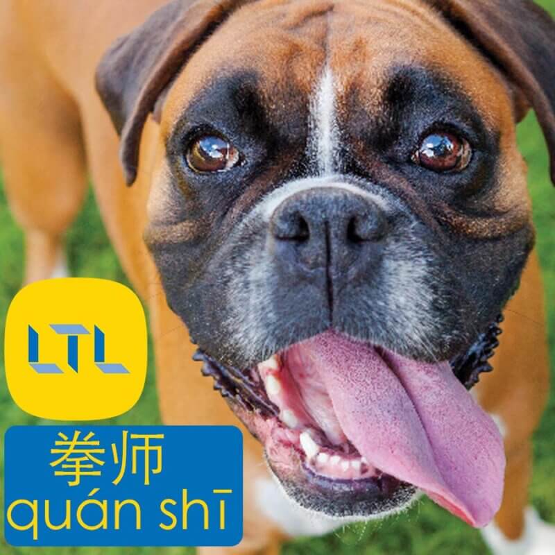 Boxer in Chinese