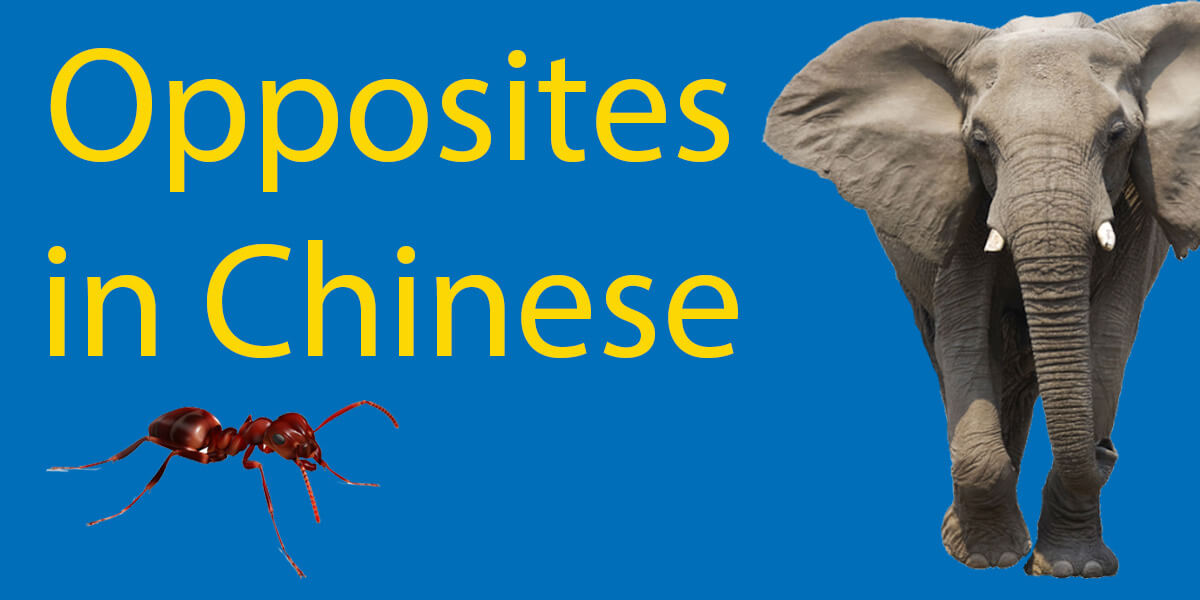 opposites in chinese