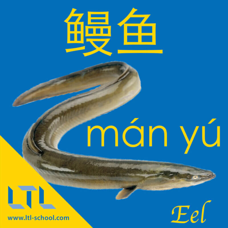 Eel in Chinese