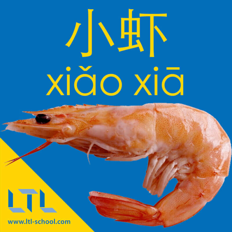 Shrimp in Chinese