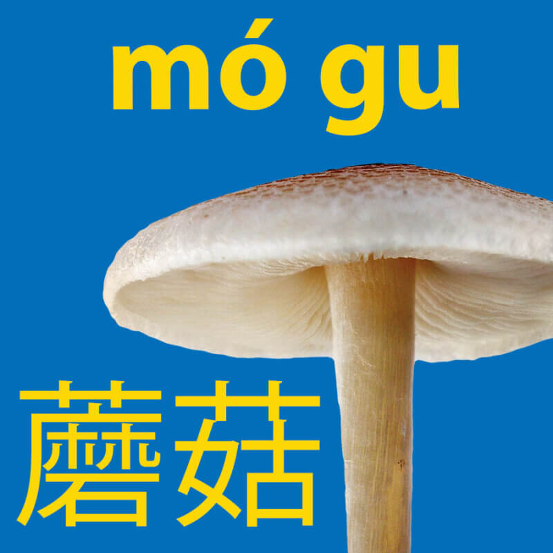 Mushroom-in-Chinese