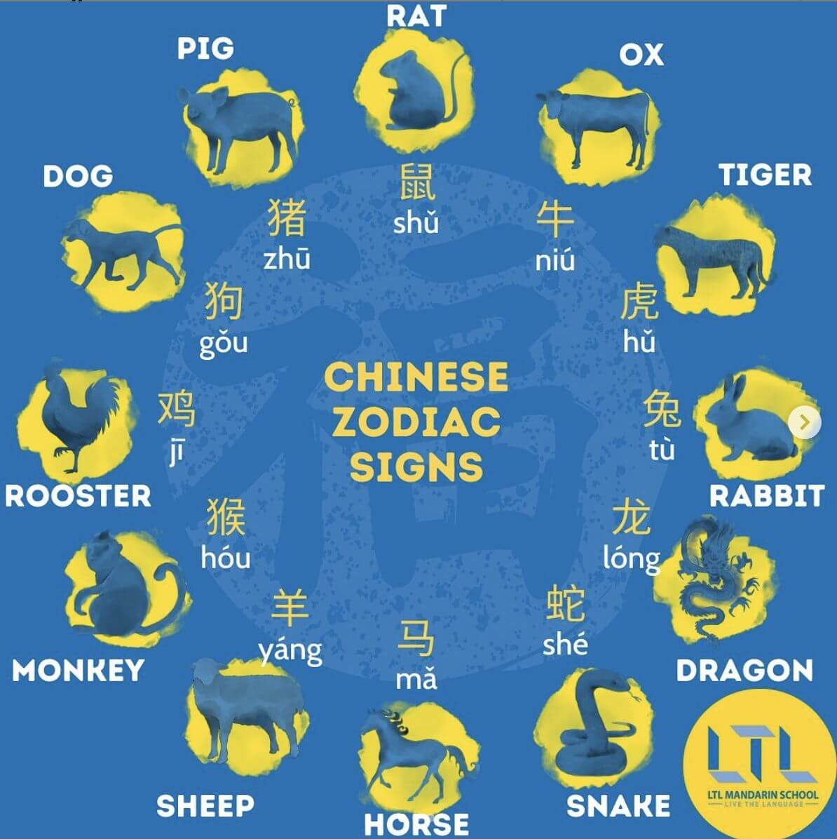 Zodiac Signs in Chinese ♈ Understanding Chinese Horoscopes